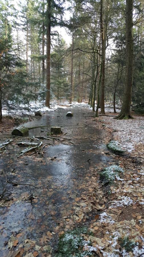 Reewold Veluwe Villa Putten Exterior foto