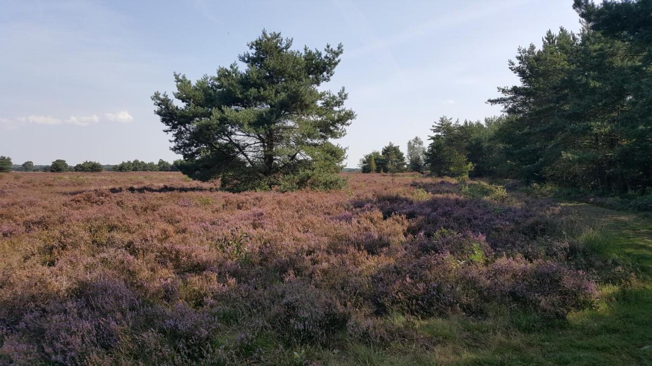 Reewold Veluwe Villa Putten Exterior foto
