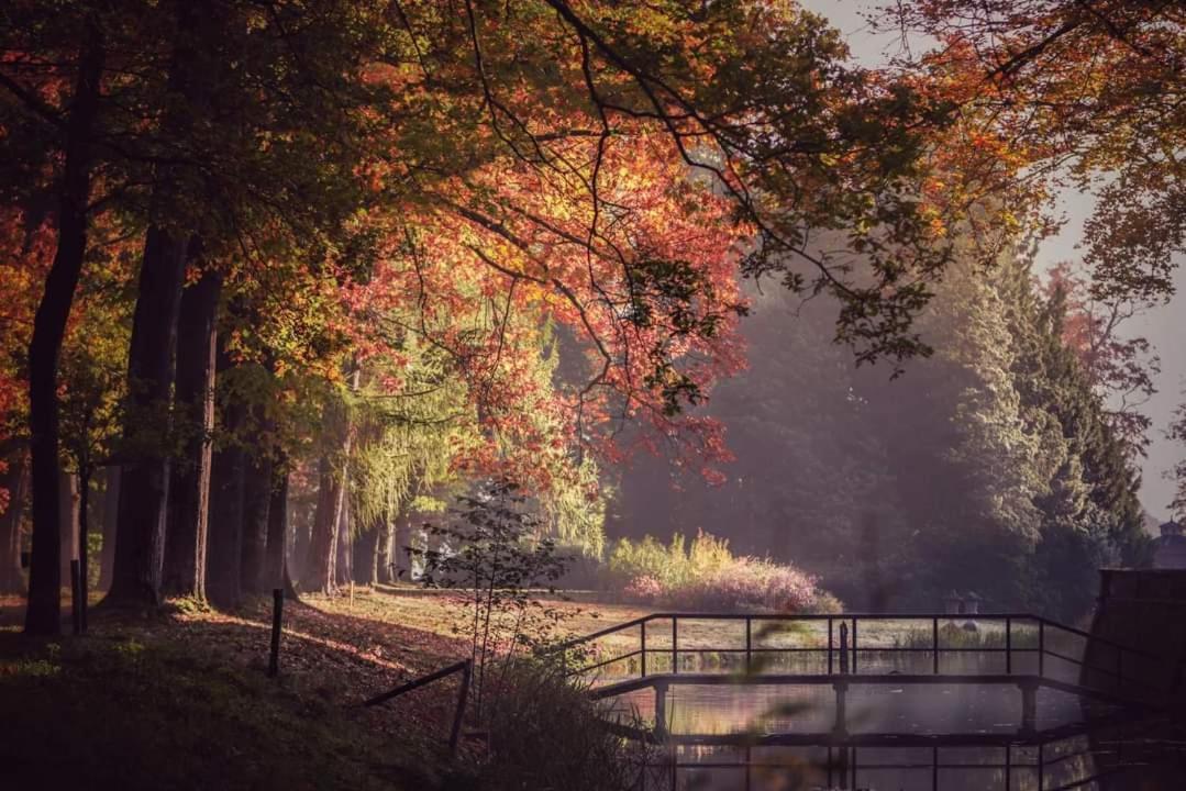 Reewold Veluwe Villa Putten Exterior foto